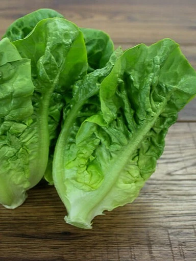 1000 Little Gem Lettuce Seeds - $2.60