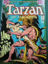 Tarzan #211 FN+ 7.5 DC Bronze Age Vintage  1972 - £15.76 GBP