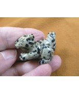 Y-SQU-570 little spotted SQUIRREL stone gemstone carving figurine love s... - $262.28 MXN