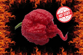 25+ Seeds Carolina Reaper Peppers Hot Pepper Vegetable Planting Garden F... - $8.94