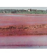 1970s Postcard Fundy Tides Avonport Nova Scotia Coastal Beach Vintage E2B - $27.34 CAD