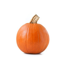 Garden Store 25 Sugar Pie Pumpkin Seeds FROM USA  - £7.42 GBP