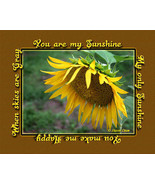 You are my Sunshine Sunflower Wall Decor Art Print - £10.05 GBP