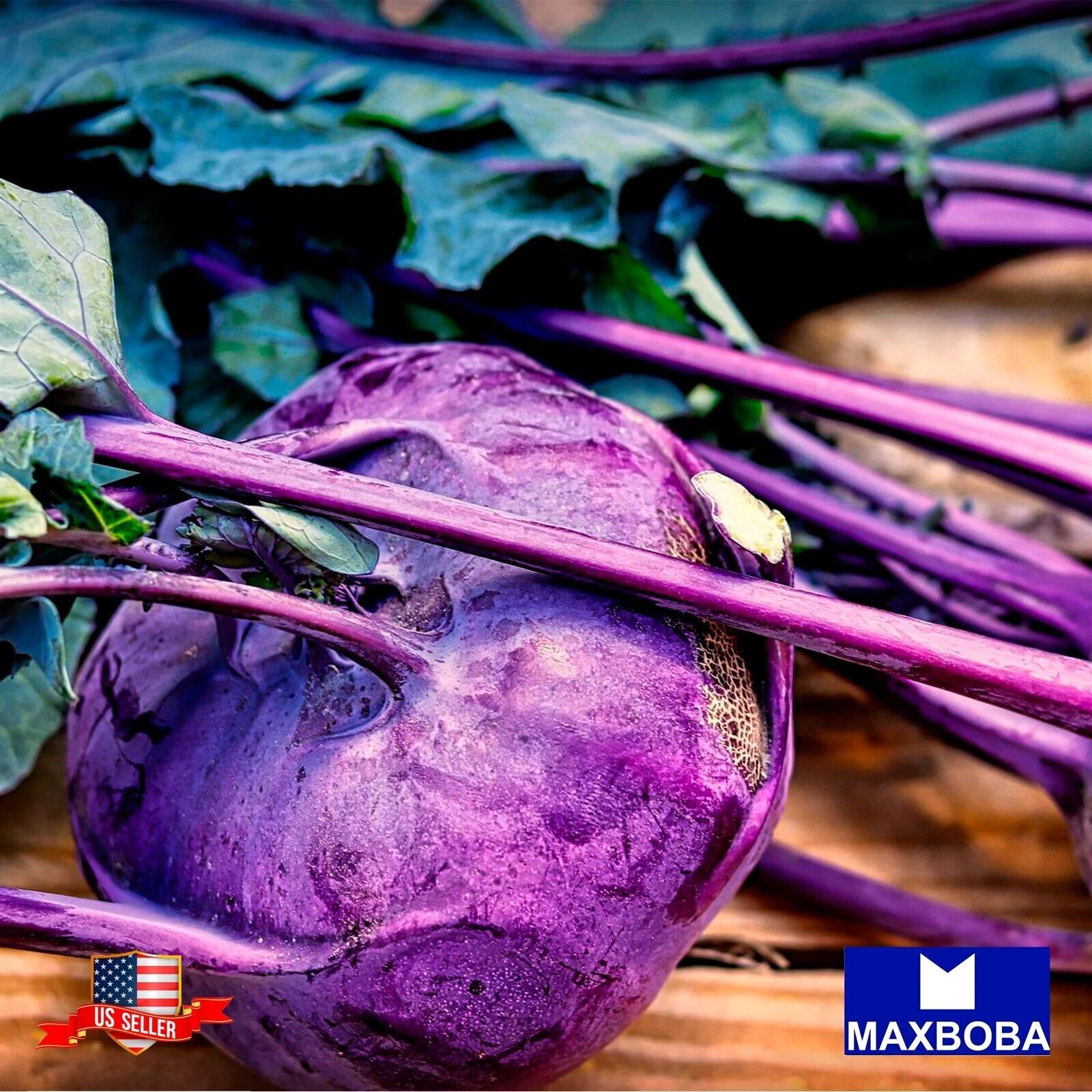 1000+ Kohlrabi Seeds Purple Vienna Non-GMO / Heirloom BOGO 50% OFF - $9.08