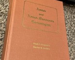 Amish and Amish Mennonite Genealogies 2007 Hugh Gingerih Rachel  Kreider... - $69.29