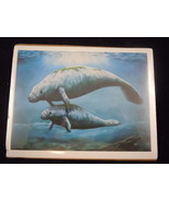 Manatee Mother &amp; Baby 5x7 Print by Laurie Dyer - $6.80 CAD