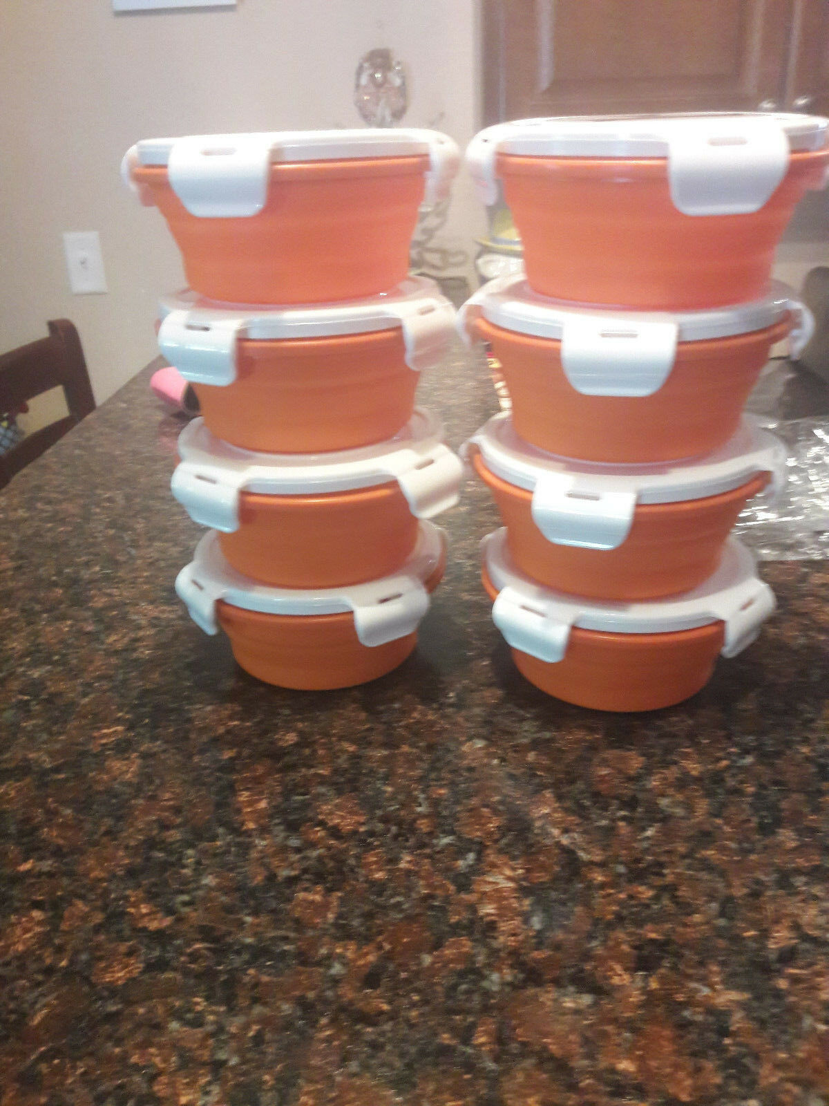 Collapsible dog Bowls with lids (good for at home use too leak proof)