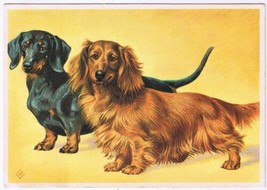 Postcard Animal Inseparable Long &amp; Short Haired Dachshunds - £2.87 GBP