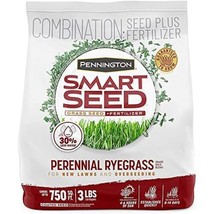 Pennington 100526658 Smart Seed, Green - $29.36