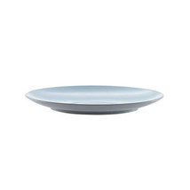  Grey and Blue Plastic Plate - 27cm - £18.66 GBP