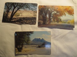 3 Vtg  Postcards Texas Davis Mountain State Park and Campground, Sawtoot... - $8.00