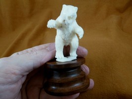 (tb-bear-20) white Polar Bear cub Tagua NUT palm figurine Bali carving bears - £40.44 GBP