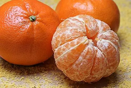 Tangerine Mandarin Orange Citrus Fruit Tree Jocad (20 Seeds) Usa Seller - £18.96 GBP