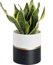 Tagobar Planter Plant Pots Indoor - 4.7 Inch Modern Ceramic Flower Pot With - £27.12 GBP