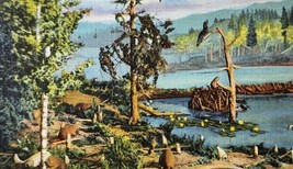 Beaver Pond Landscape View Diorama State Museum Denver CO Linen Postcard - $5.25