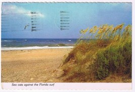 Florida Postcard Sea Oats Against Florida Surf - £2.36 GBP