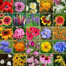 Grow In US 350 Seeds Wildflower Mix Midwest Regional 25 Heirloom Flower Species  - £8.00 GBP