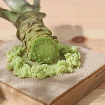 THJAR 600 Japanese Horseradish Wasabi Seeds Mustard Seed Sinapis Organic Heirloo - $9.98