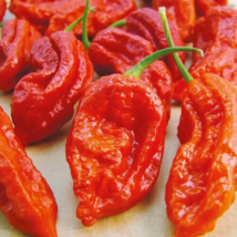 Giant Pepper Giant Marconi Hybrid Sweet Pepper - 100 Seeds - $5.96