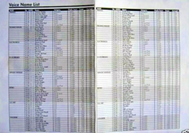 Korg MicroKorg Synthesizer Voice / Parameter Lists Sheet, Original Korg Document - £12.56 GBP