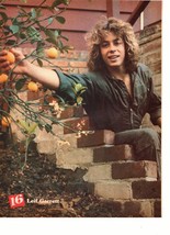 Leif Garrett teen magazine pinup clipping reaching for oranges Tiger Beat Bop - $3.50