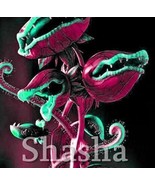300 Pcs Potted Flytrap Seed Dionaea Muscipula Giant Clip Venus Flytrap T... - $12.99