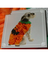 Dog Costume Halloween Medium size Pumpkin outfit Super Deal Celebrate it... - $9.49