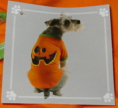 Dog Tee Shirt Halloween Med size Pumpkin Face Super Deal Celebrate it 34A - £4.71 GBP