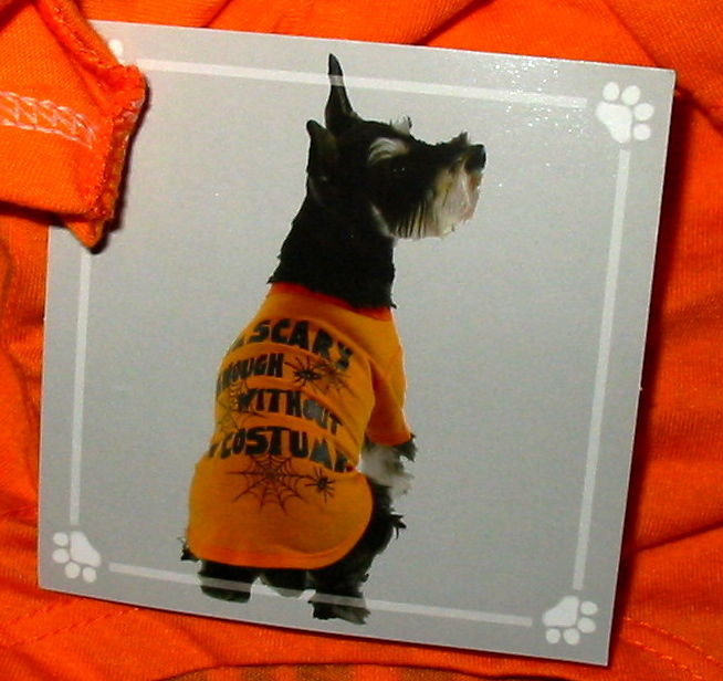 An item in the Crafts category: Dog Tee Shirt Halloween Small Size Im Scary Shirt Super Deal Celebrate it 34C