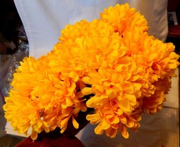 Ashland Fall Bushes Decor Picks Stems Fillers Yellow Flowers 5ea 12&quot; x 7... - $5.89