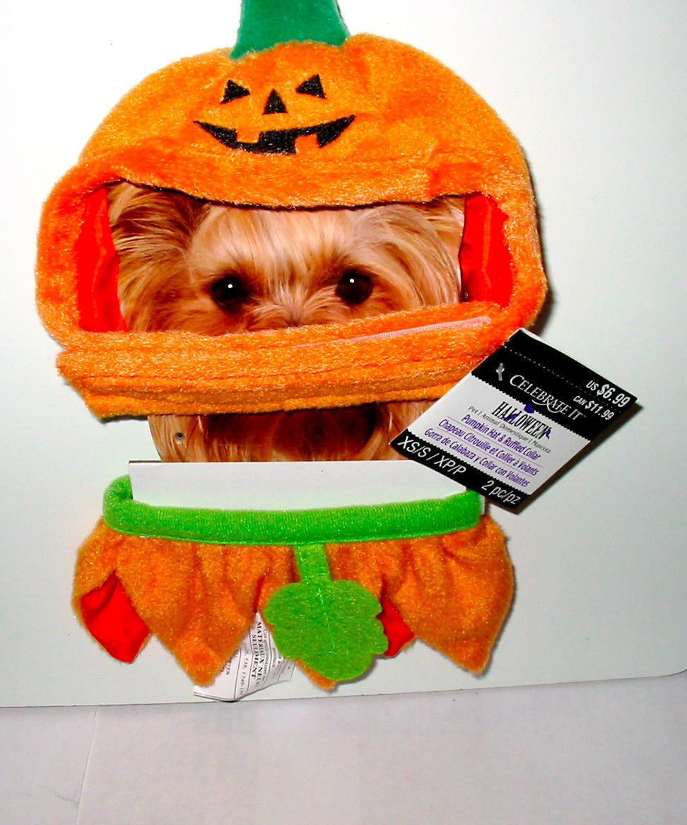 Primary image for Halloween Pumpkin Hat & Ruffled Collar Celebrate It XS small Dog 2 to 6 lbs 44T