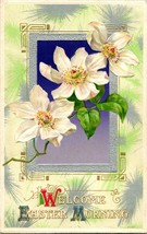 Vtg Postcard 1911 Welcome Easter Morning Winsch Back White Dalia Embossed UNP - £11.83 GBP