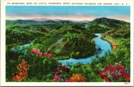 Asheville NC North Carolina Blowing Rock Grandfather Mountain 1920 Vtg Postcard  - £17.01 GBP