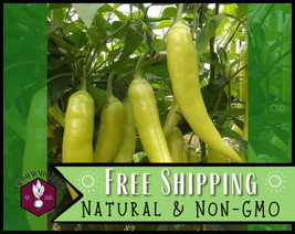 400 Seeds Sweet Banana Pepper Heirloom Seeds For Quick Elegant Gardens - £10.80 GBP