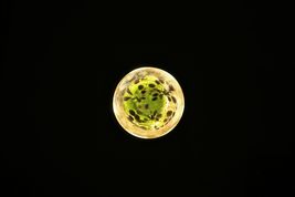 Item image 15