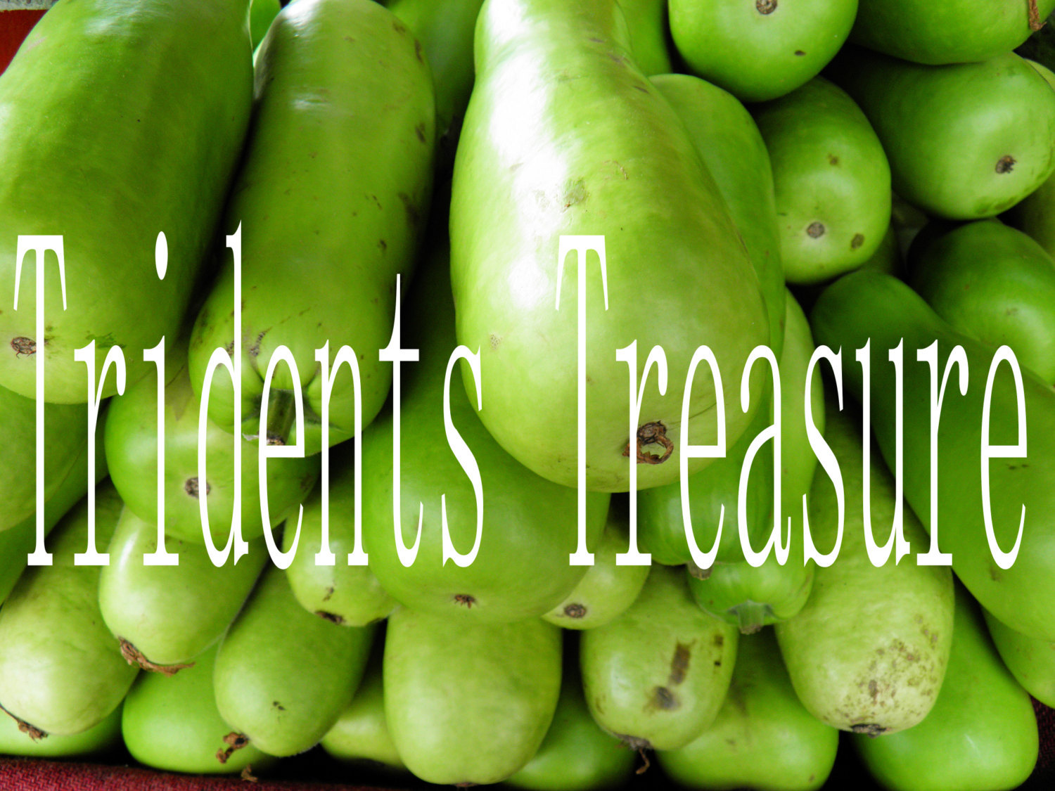 Exotic Fruit 2 Wall Art - Warholesque Wall Art - Digital Food Art - Photography