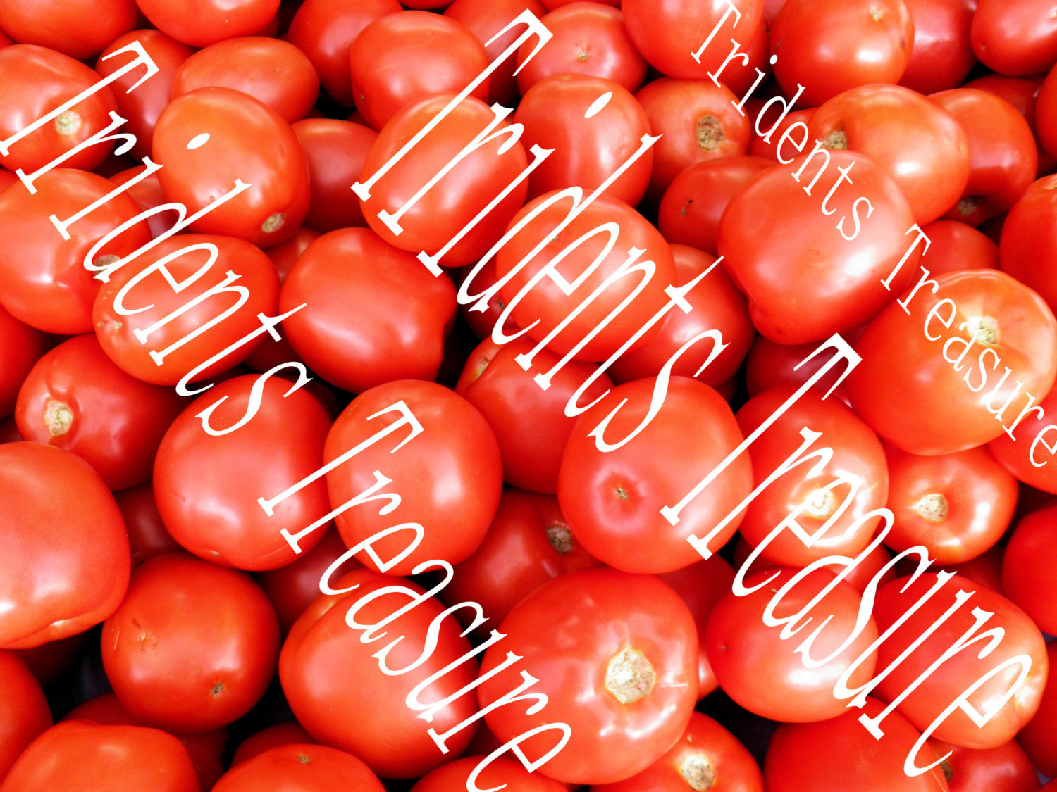 Tomatoes Wall Art - Warholesque Wall Art - Digital Food Art - Photography - Kitc