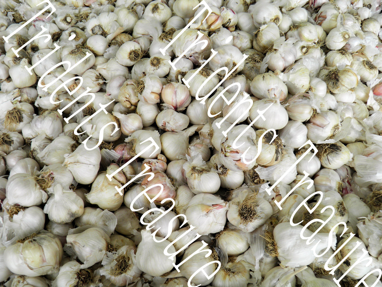 Primary image for Garlic Wall Art - Warholesque Wall Art - Digital Food Art - Photography - Kitche