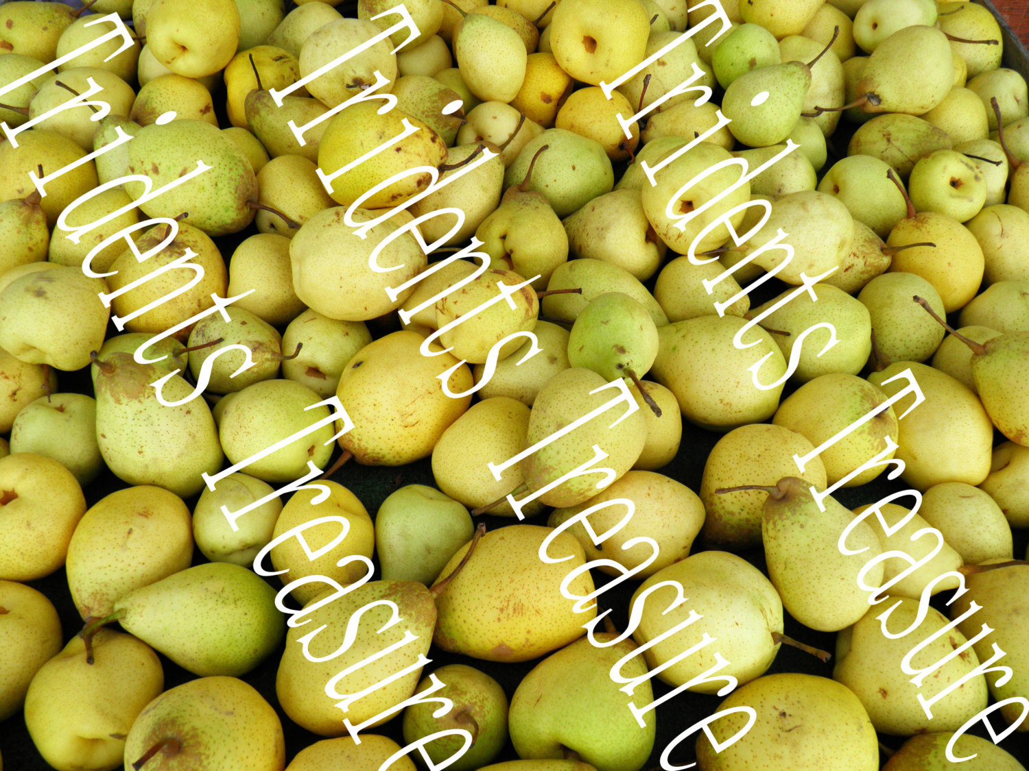 Yellow Pears Wall Art - Warholesque Wall Art - Digital Food Art - Photography -