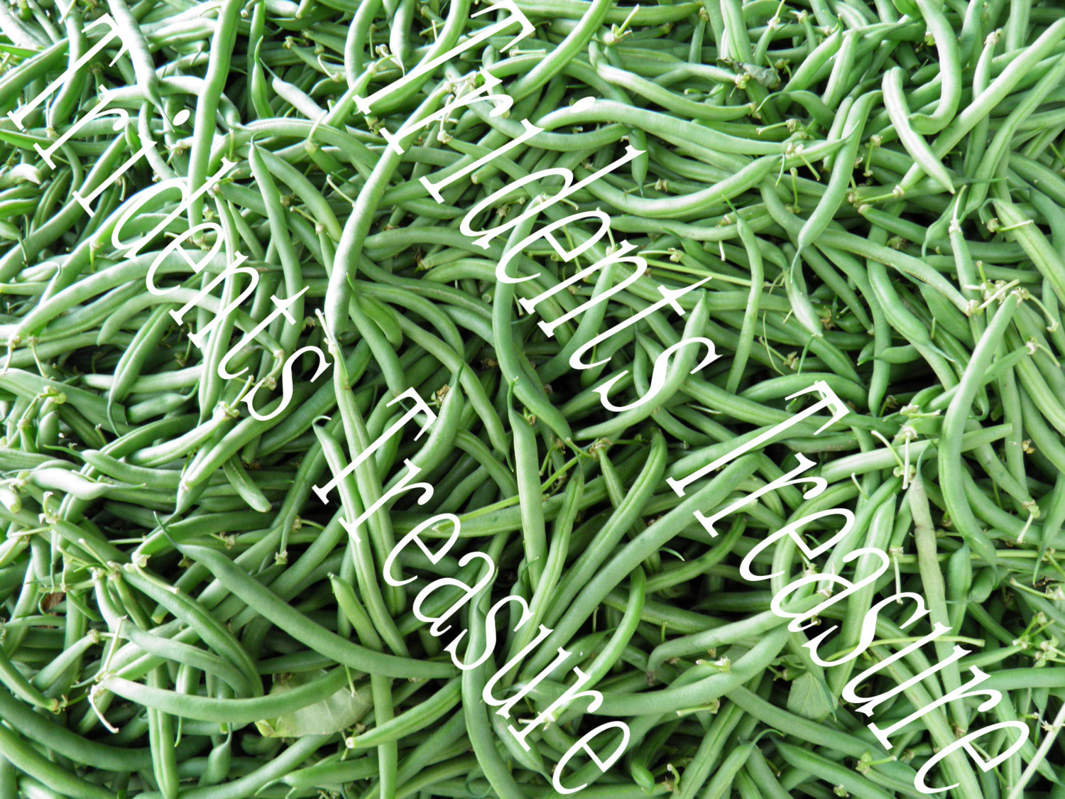 Green String Beans Wall Art - Warholesque Wall Art - Digital Food Art - Photogra