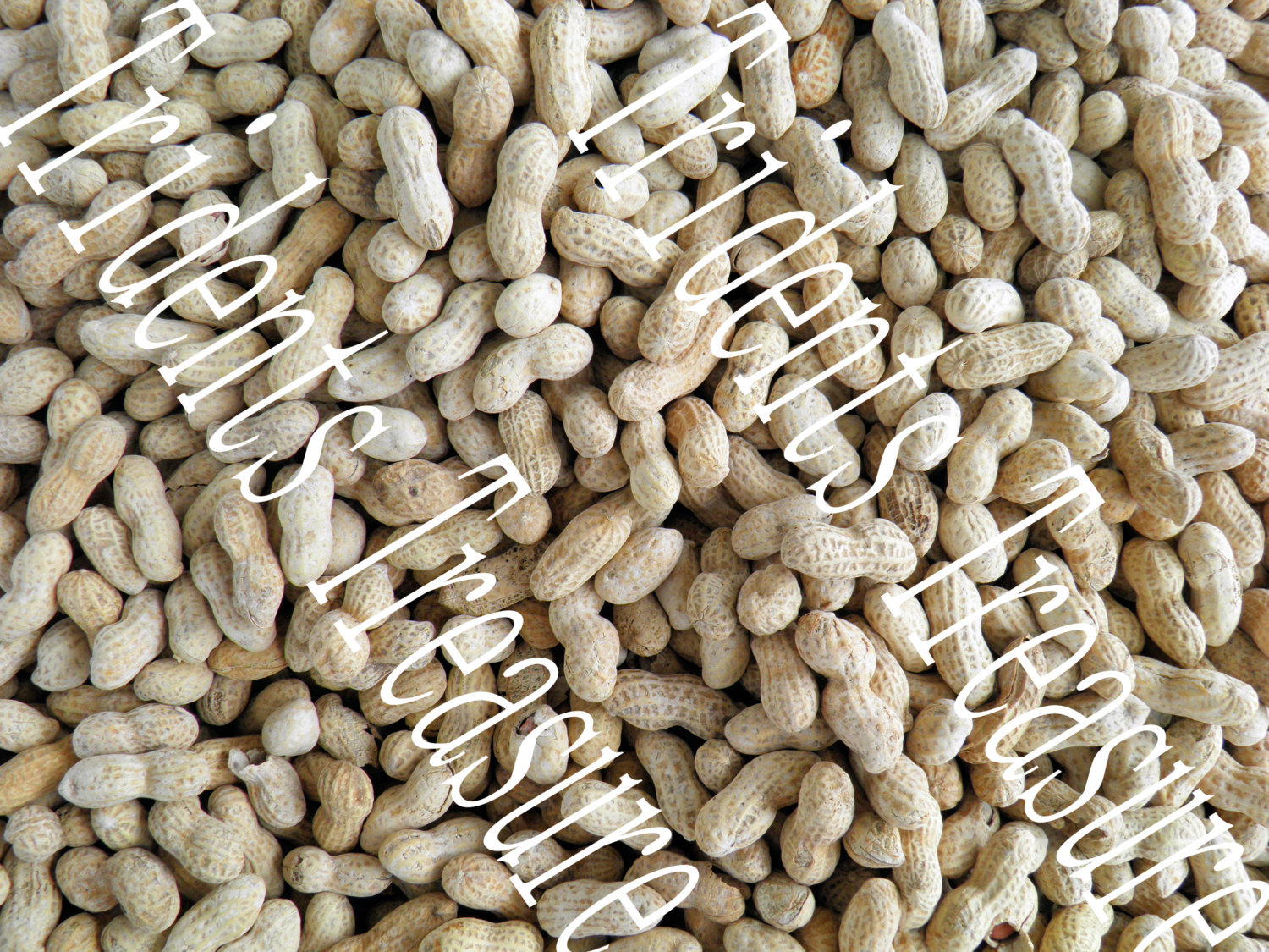 Peanuts 2 Wall Art - Warhol-esque Wall Art - Digital Food Art - Photography - Ki