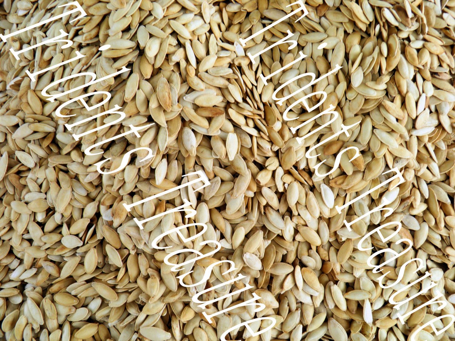 Pumpkin Seeds Wall Art - Warhol-esque Wall Art - Digital Food Art - Photography