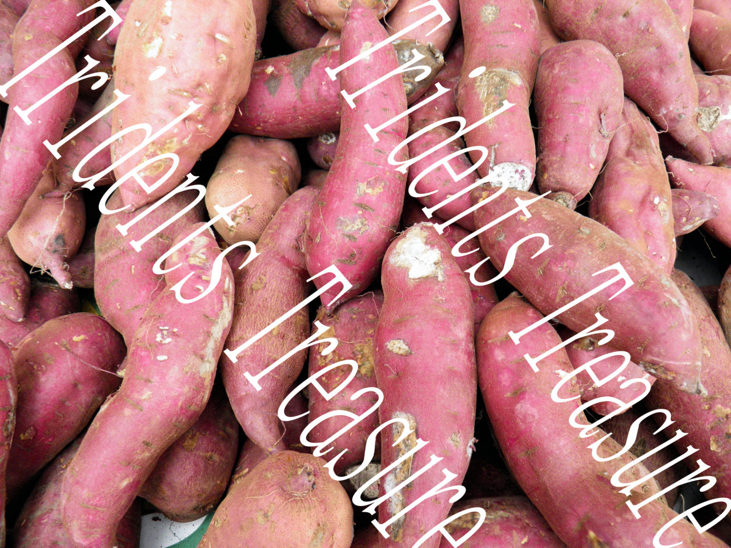 Sweet Potato Yams Wall Art - Warhol-esque Wall Art - Digital Food Art - Photo