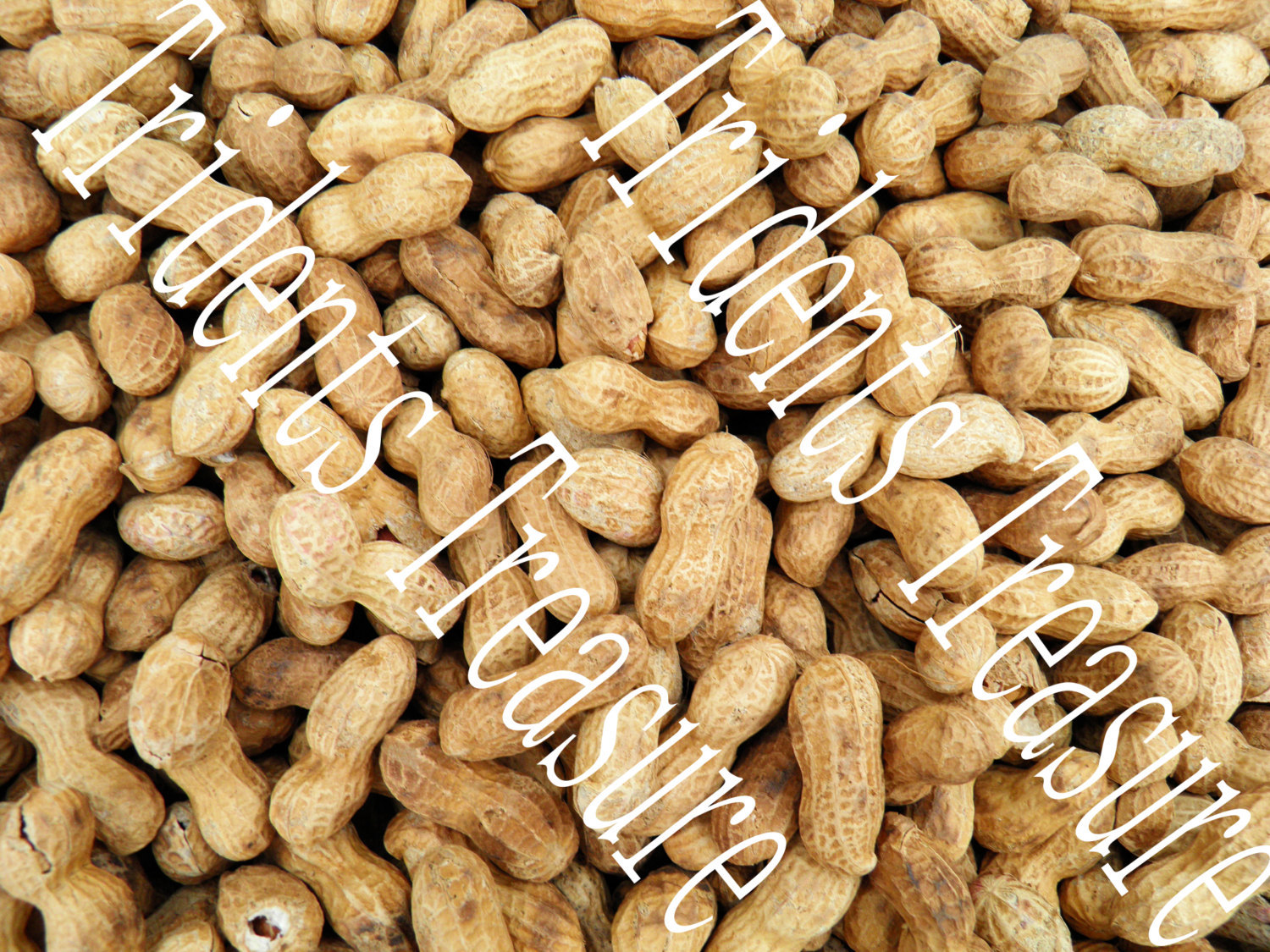 Peanuts Wall Art - Warholesque Wall Art - Digital Food Art - Photography - Kitch