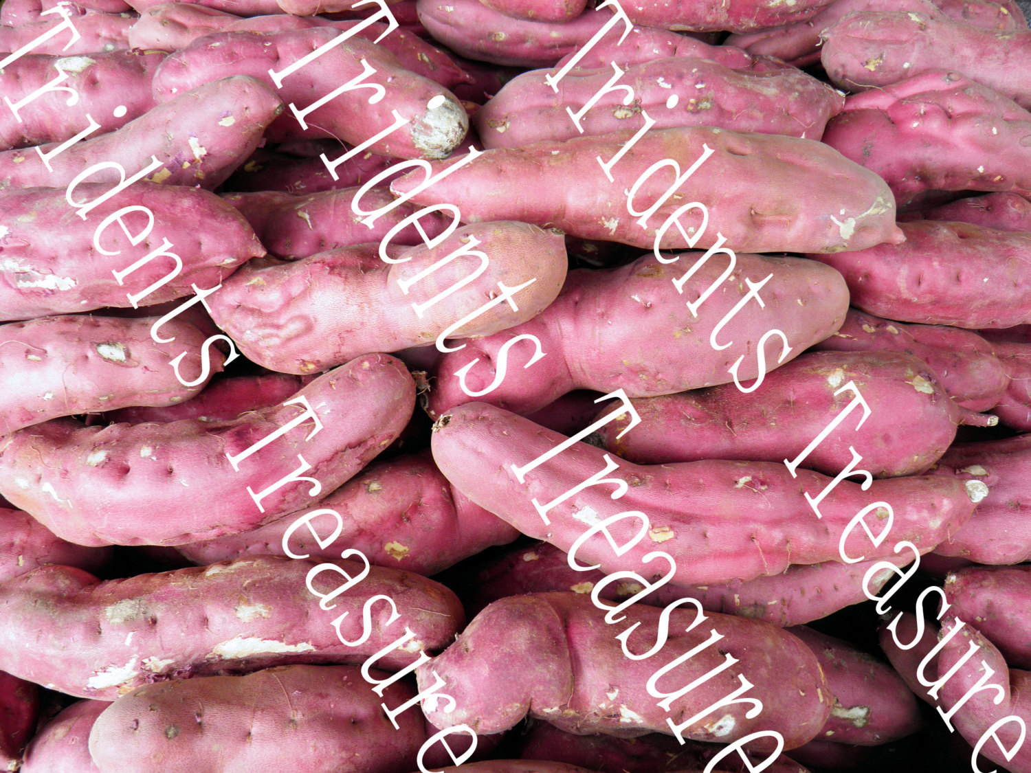 Sweet Potatoes Wall Art - Warholesque Wall Art - Digital Food Art - Photography