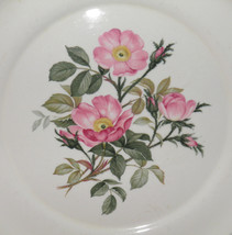 Vintage Harker Pottery Wild Rose Pattern China Dinner Plate with 22K Gold Trim - - £15.73 GBP