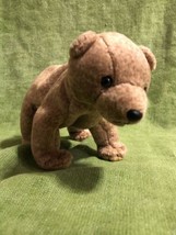 Ty Beanie Baby &quot;Pecan&quot; the Bear 1999 Retired - $9.74