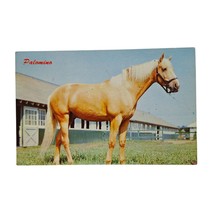 Postcard Palomino Horse By Stable Barn Farm Ranch Chrome Unposted - £6.30 GBP