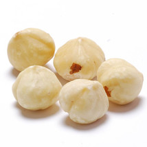 Hazelnuts, Whole and Blanched - 1 resealable bag - 2 lbs - £37.07 GBP