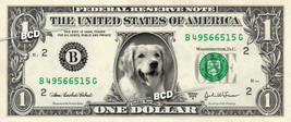 Golden Retriever On Real Dollar Bill Pet Dog   Cash Money Art - £2.61 GBP